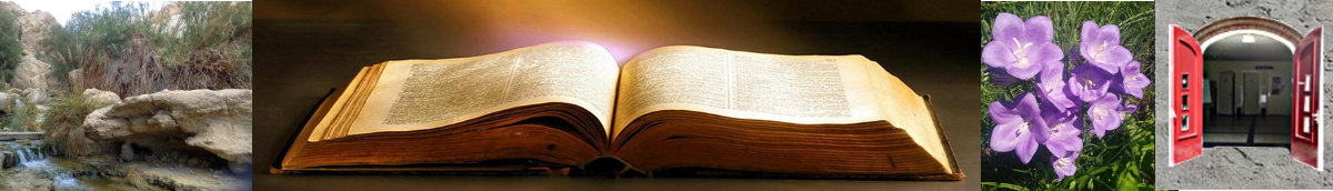 De Ontmoeting, Apeldoorn