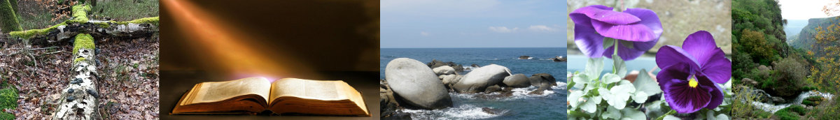 De Ontmoeting, Apeldoorn